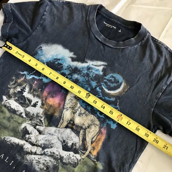 Abercrombie And Fitch Graphic T Shirt Denali Alaska Wolf Size Small - Picture 6 of 7